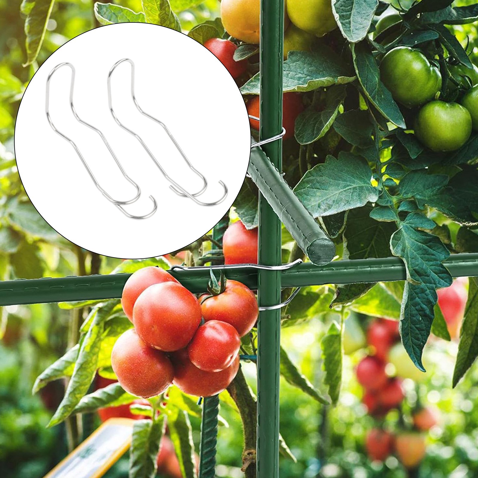 50 pcs Plant Rod Connectors for Secure Trellis Connections in Your Garden